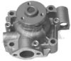 IVECO 7303056 Water Pump